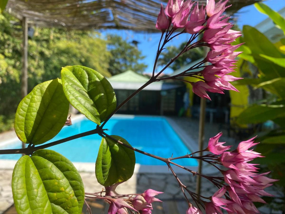 Fare Rearea A Papeete Hotel Papeete  Ngoại thất bức ảnh